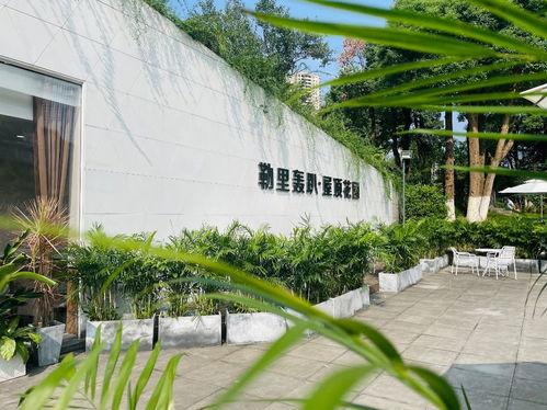 重庆花园爆料视频播放,揭秘神秘花园背后的故事